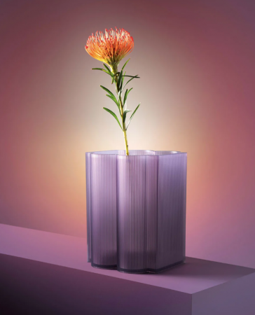 Vase Okra - Kartell